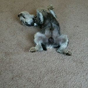 Meet your Posher, Patt